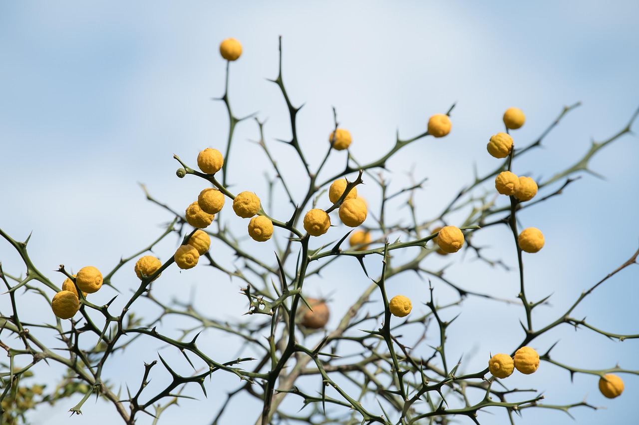 黒ずみや臭いに効果的な冬の乾燥対策クリームは？
