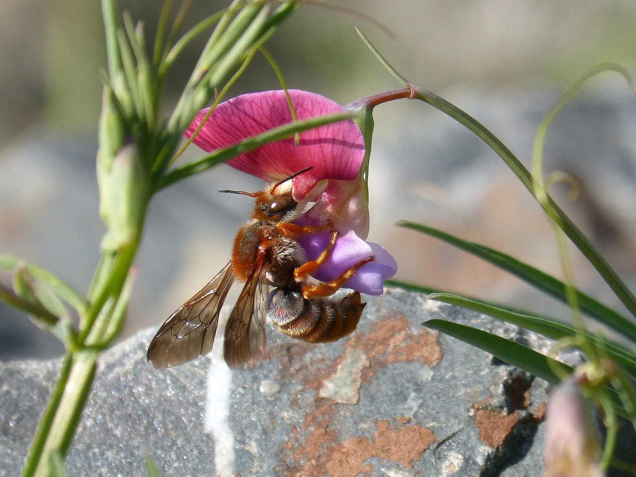 黒ずみや臭いをクリアする角質クリームの効果とは？