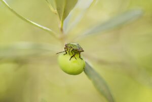 VIOの臭いを洗い方で改善し、黒ずみを予防する方法は？