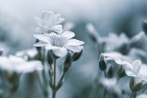 デリケートゾーンの黒ずみや臭いに対する粘膜ケアの対策は？