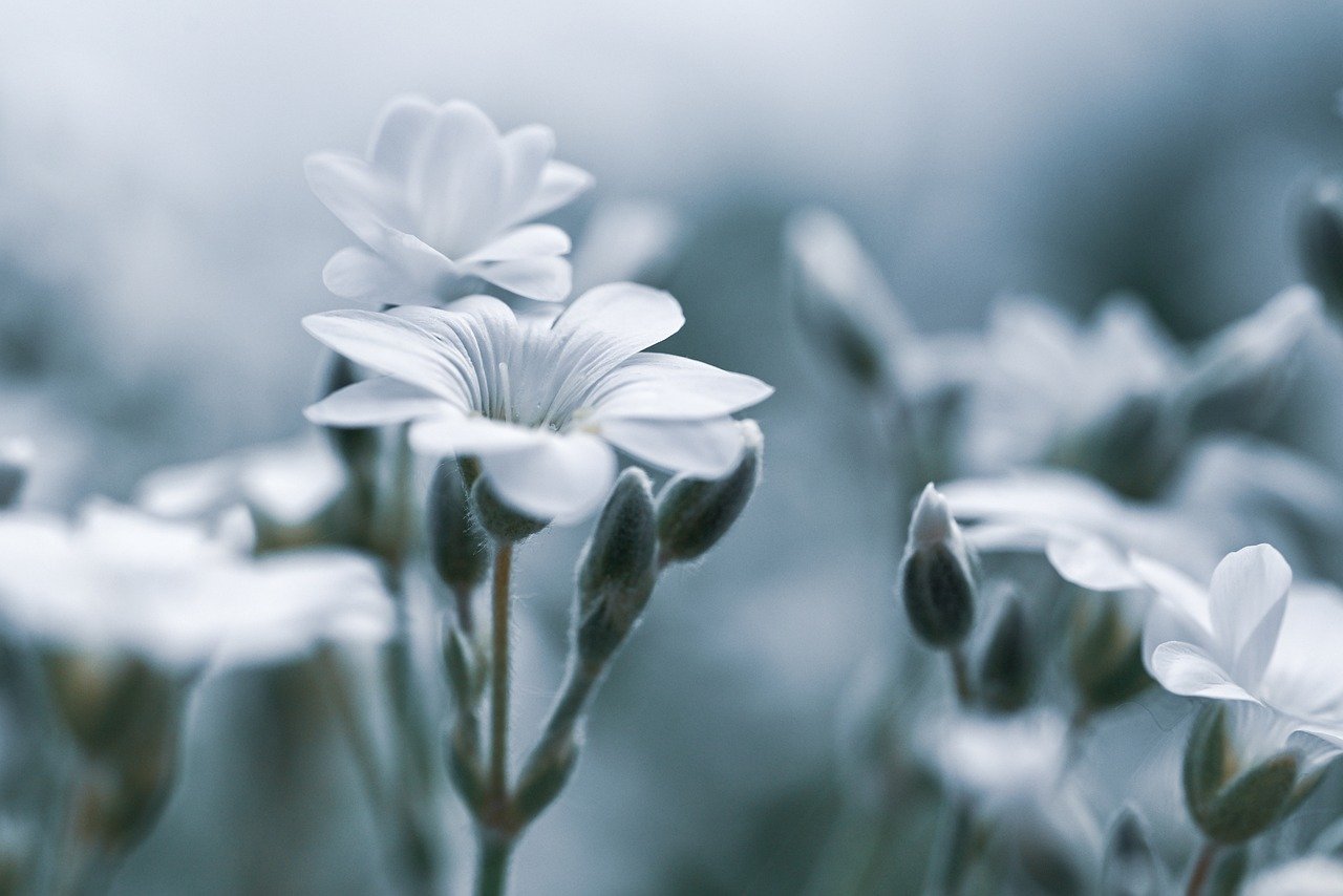 デリケートゾーンの黒ずみや臭い対策におすすめの無香料アイテムは？