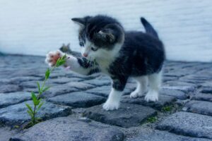 ワキの臭いを気にする男性におすすめの対策は？