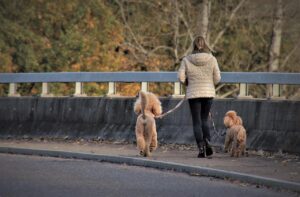 脇の臭いを抑えるクリームの効果は本当にあるのか？